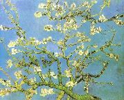 Vincent Van Gogh Blossomong Almond Tree Germany oil painting artist